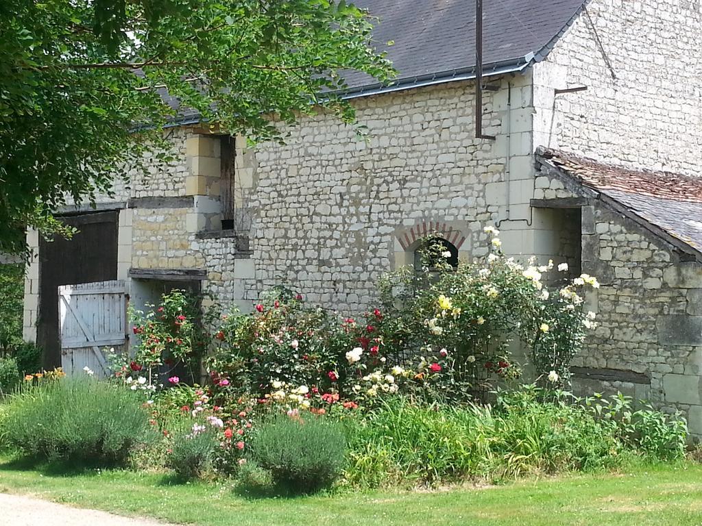 La Cle Des Jardins Bed & Breakfast Nouatre Luaran gambar