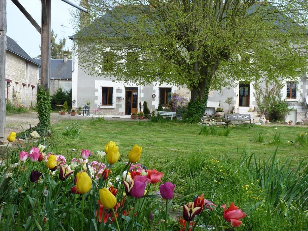 La Cle Des Jardins Bed & Breakfast Nouatre Luaran gambar