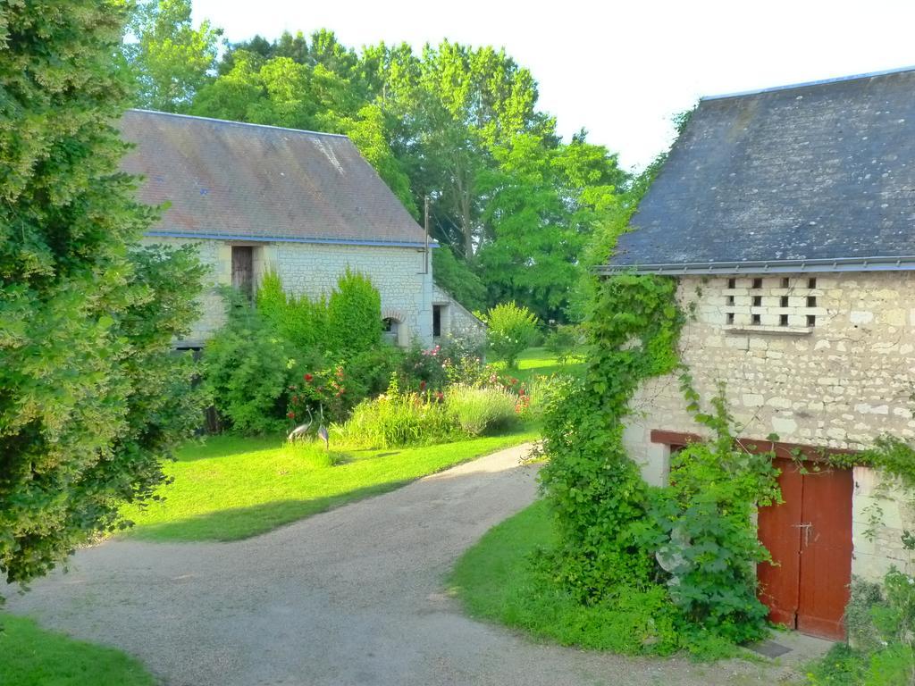 La Cle Des Jardins Bed & Breakfast Nouatre Luaran gambar