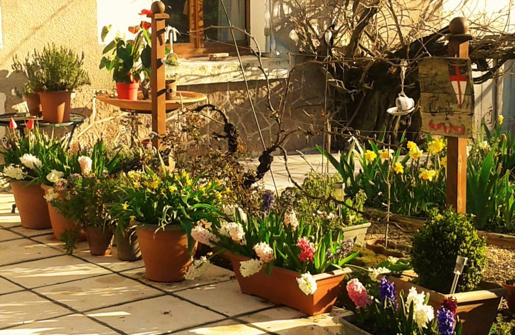 La Cle Des Jardins Bed & Breakfast Nouatre Luaran gambar